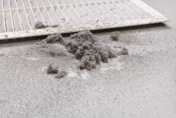 Best Emergency Air Duct Cleaning  in Archer, FL