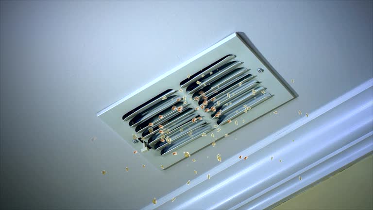 Best Duct Cleaning for Offices  in Archer, FL