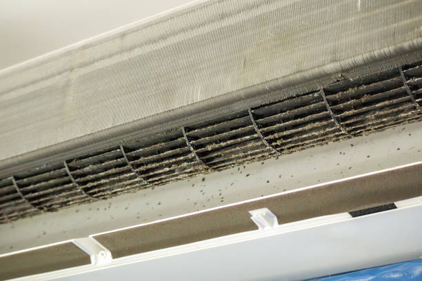 Best Affordable Air Duct Cleaning  in Archer, FL